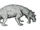Burnetia