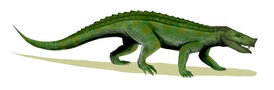 Notosuchus BW