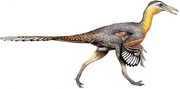 Buitreraptor-dinosaurs-28667916-796-392.png