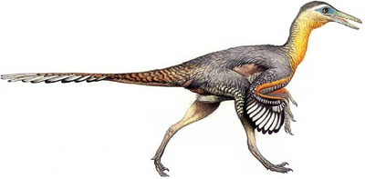 Buitreraptor-dinosaurs-28667916-796-392