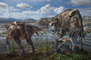 Liscomb Bonebed hadrosaurids