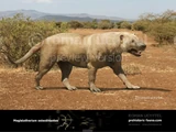 Megistotherium