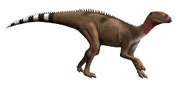 Pisanosaurus NT small