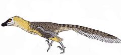 VelociraptorInfobox