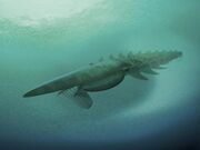 AegirocassisIllustration