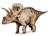 Arrhinoceratops-Arthur-Weasley.jpg