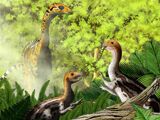 Limusaurus