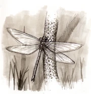 Kirchnerala treintamil