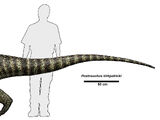 Postosuchus