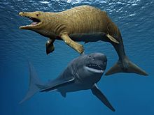220px-Aegyptocetus NT