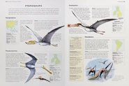 Cretaceous pterosaurs.png (555 KB)