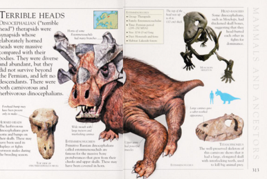 Ornithocheirus - Wikipedia