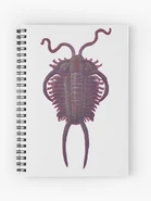 Sn,x1000-pad,750x1000,f8f8f8.u3.jpg (65 KB)