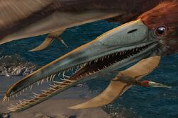 Aetodactylus-halli d470
