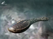 Astraspis by ntamura-d7fbwct