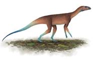 Liam-elward-asilisaurus-as.jpg (142 KB) Depiction by Liam Elward