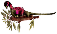 Sinornithosaurus haoiana