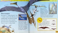 The Pterosaurs.png (810 KB)