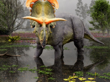 Lokiceratops