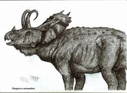 Life reconstruction of Dysaganus