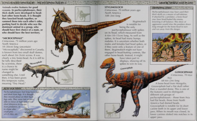 Microcephale Dinopedia Fandom Microcephale Dinopedia Fandom