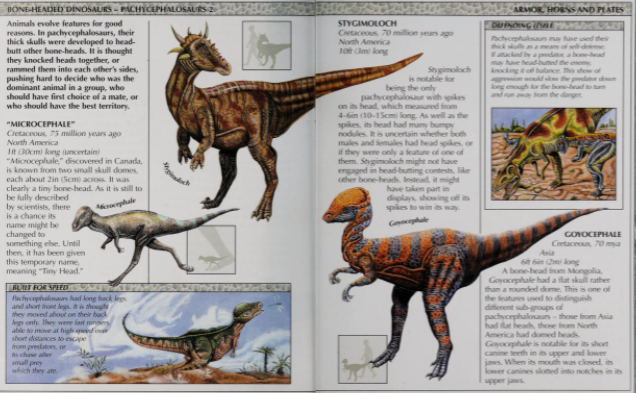 Microcephale Dinopedia Fandom