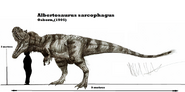 Size comparison.
