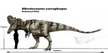 Albertosaurus sarcophagus by teratophoneus-d5ael55