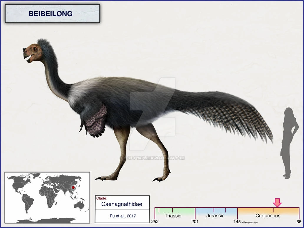 Beibeilong Dinopedia Fandom