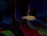 Cladoselache and Eusthenopteron.jpg (184 KB) Cladoselache