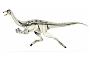JPI Archaeornithomimus.png (30 KB)