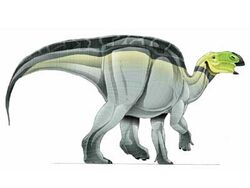Hadrosaurus-1.jpg