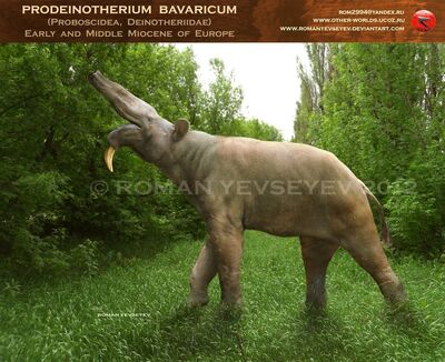 Prodeinotherium bavaricum by romanyevseyev-d51wkum