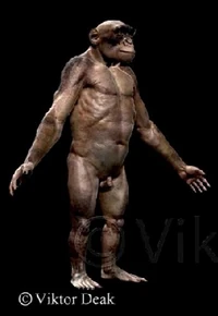 Sahelanthropus tchadensis