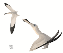 2 pterodactyls.png