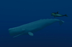 Leviathan.JPG