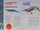 Leptosuchus