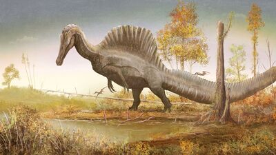 Spinosaurus Dinopedia Fandom - spino no arms roblox