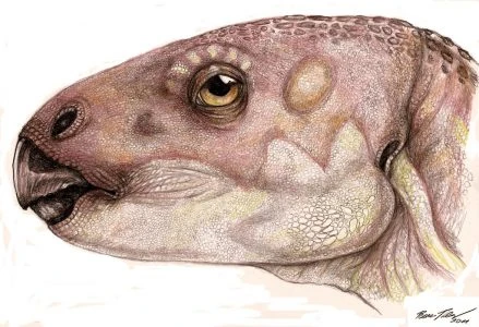 Mochlodon Dinopedia Fandom