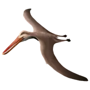 Brasileodactylus (SciiFii)