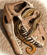  (depicted in the image) and other "stem snakes" are now classified as parviraptorids.