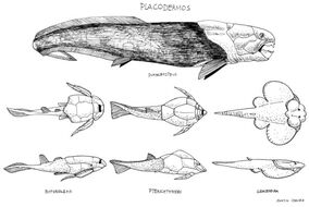 Placoderms by paleoaeolos.jpg