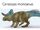 Ceratops
