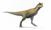 Carnotaurus for wikipedia by fredthedinosaurman-dblybpc