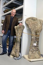 Kenneth J. Lacovara and Dreadnoughtus
