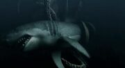 Mega-shark-vs-giant-octopus