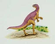 Xiaosaurus