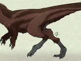 Aoniraptor