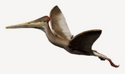 Life reconstruction of Kryptodrakon progenitor