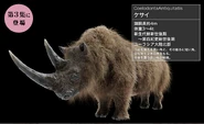 Z03-5.png (482 KB) Woolly Rhinoceros